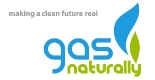gas test 1